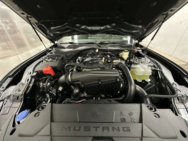 Thumbnail: 2026 Ford Mustang - 46