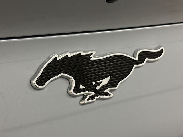 Thumbnail: 2026 Ford Mustang Mach-E - 44