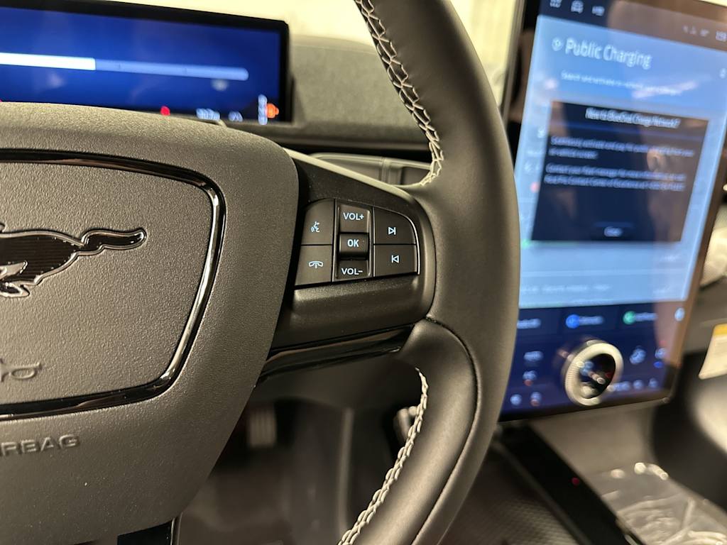 Thumbnail: 2025 Ford Mustang Mach-E - 16