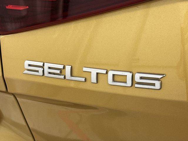 Thumbnail: 2022 Kia Seltos - 6