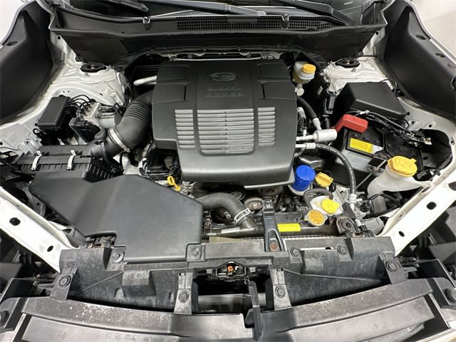 Thumbnail: 2020 Subaru Forester - 9