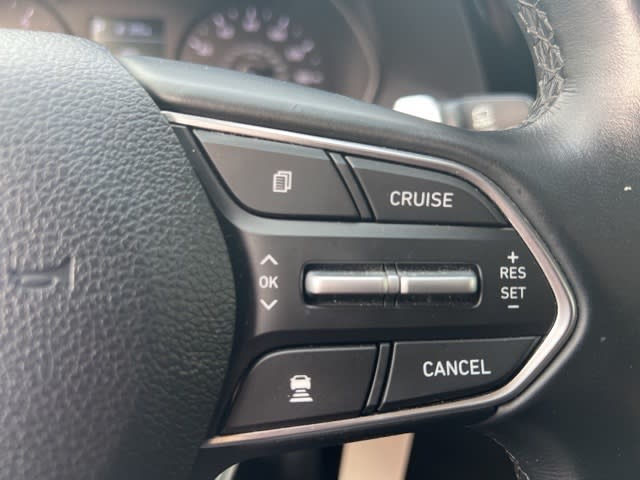 Thumbnail: 2021 Hyundai Palisade - 17