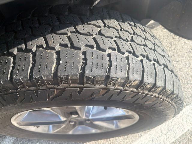 Thumbnail: 2019 Jeep Wrangler - 12