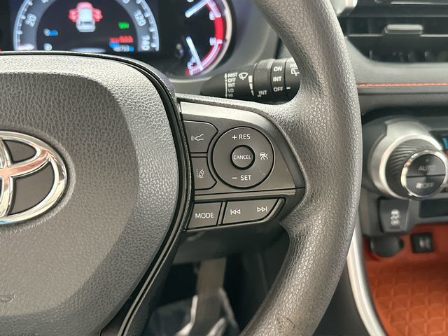 Thumbnail: 2019 Toyota RAV4 - 20