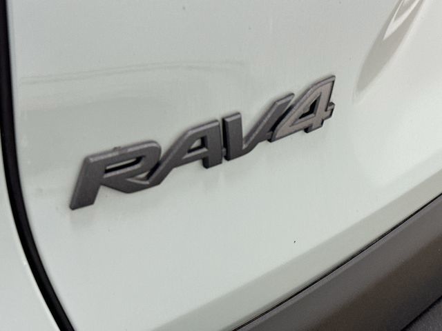 Thumbnail: 2019 Toyota RAV4 - 30