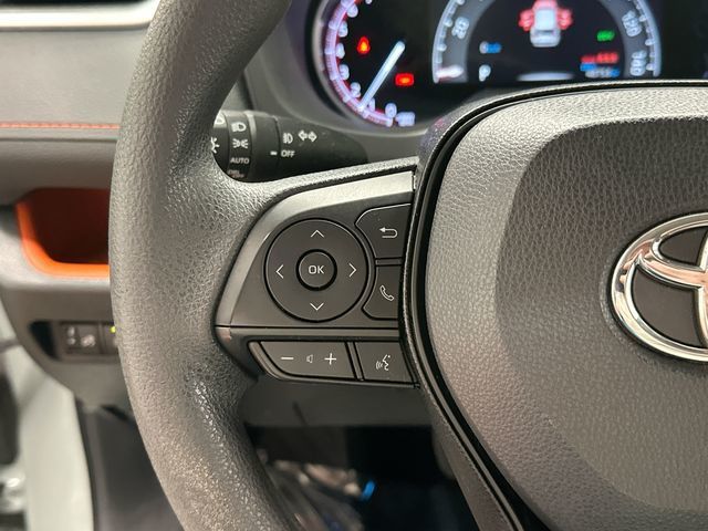 Thumbnail: 2019 Toyota RAV4 - 19