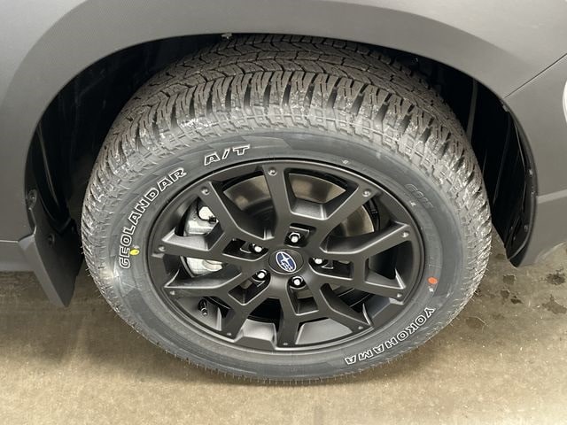 Thumbnail: 2025 Subaru Crosstrek - 6