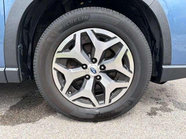 Thumbnail: 2019 Subaru Forester - 7