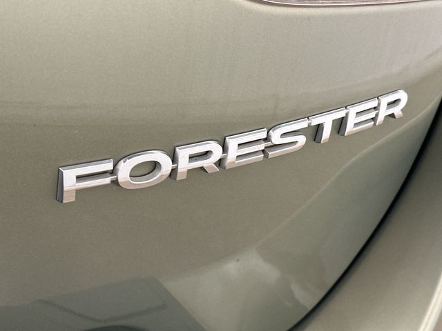 Thumbnail: 2019 Subaru Forester - 30