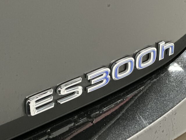 2019 Lexus ES Hybrid 300h 31
