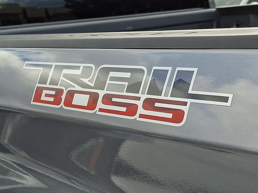 Thumbnail: 2019 Chevrolet Silverado 1500 - 29