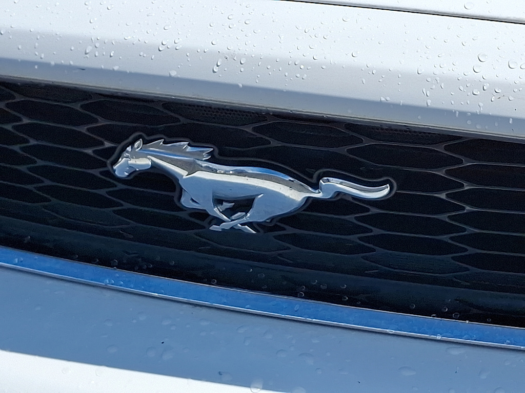 Thumbnail: 2014 Ford Mustang - 29