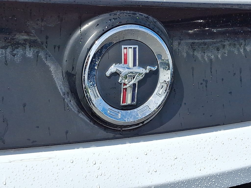 Thumbnail: 2014 Ford Mustang - 28