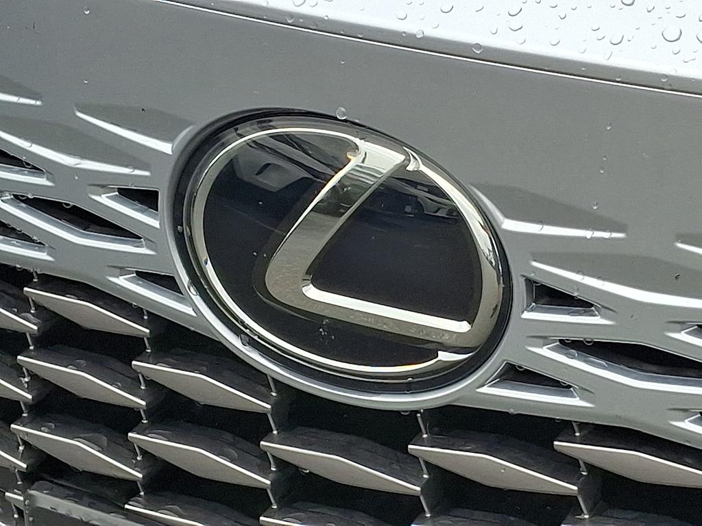Thumbnail: 2023 Lexus RX - 29