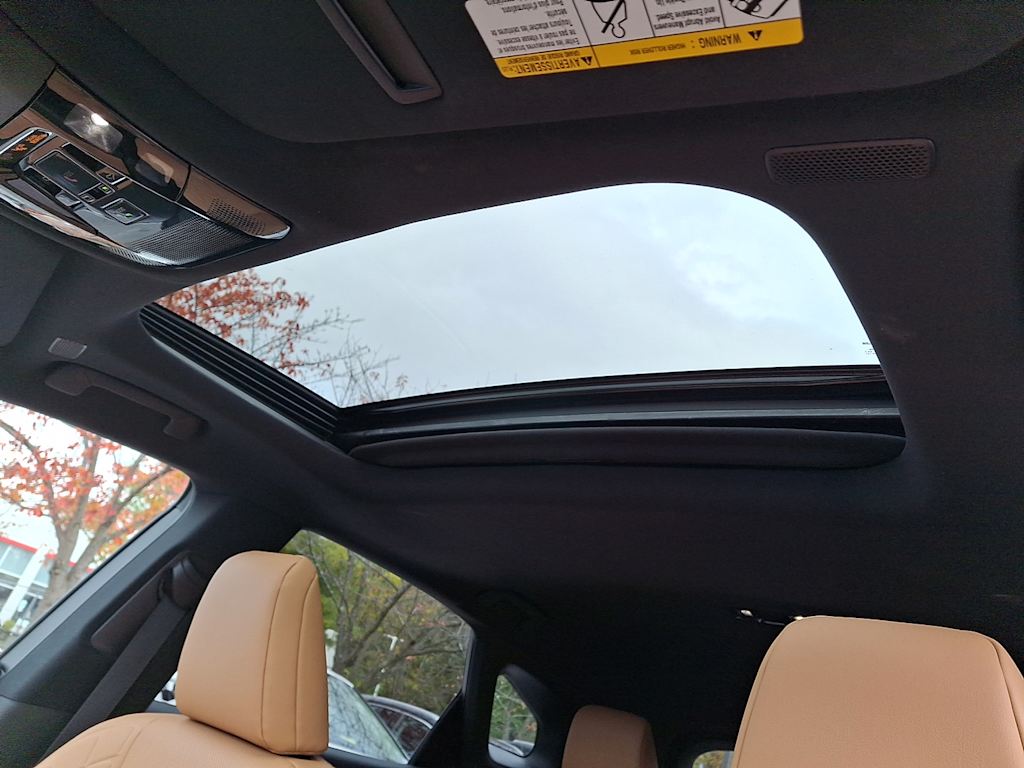 Thumbnail: 2023 Lexus RX - 18