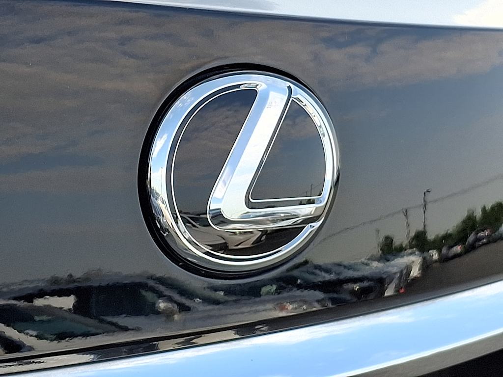 Thumbnail: 2019 Lexus RX - 30