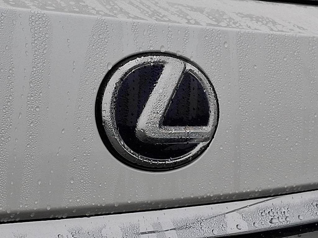 Thumbnail: 2020 Lexus RX - 29