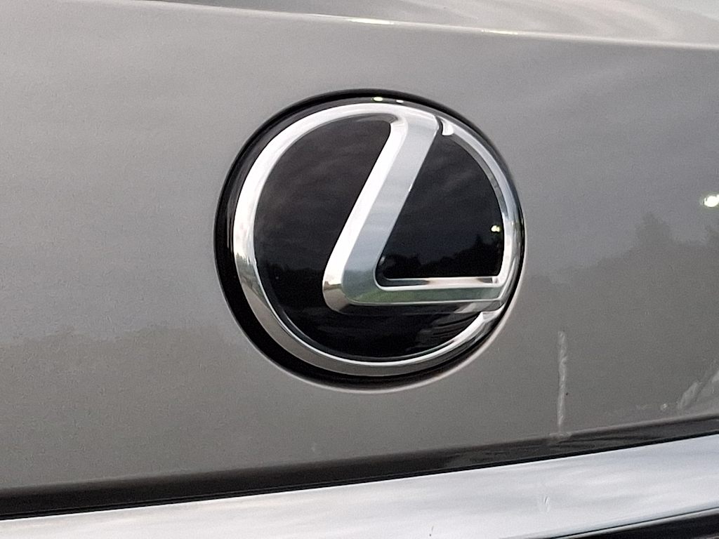 Thumbnail: 2020 Lexus RX - 29