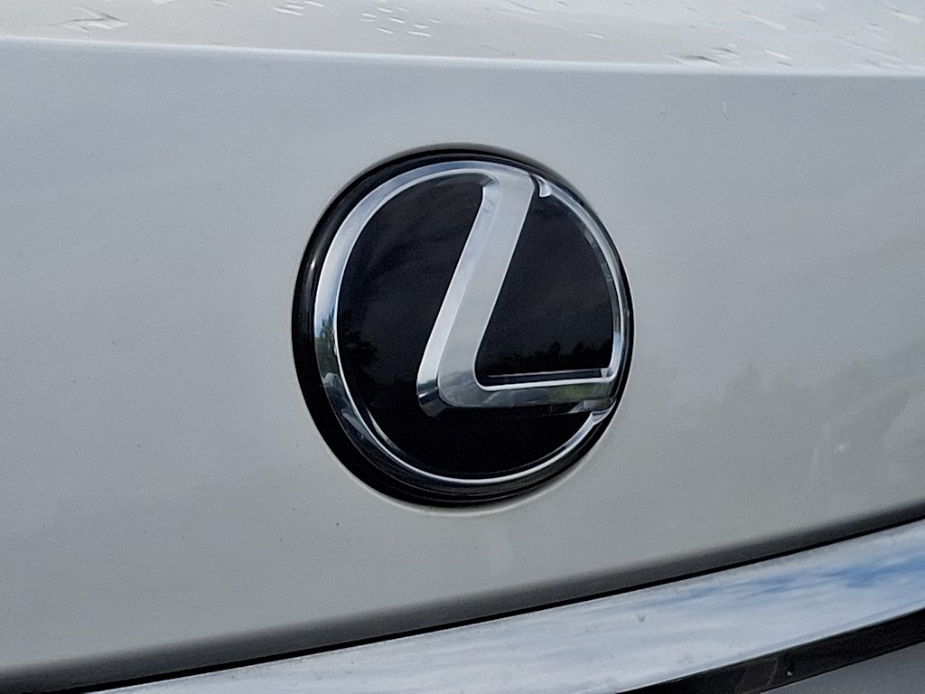 Thumbnail: 2020 Lexus RX - 29