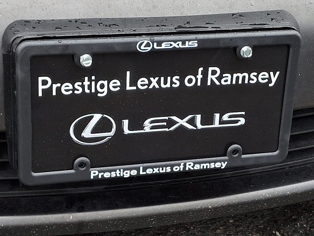 2021 Lexus RX 350 30