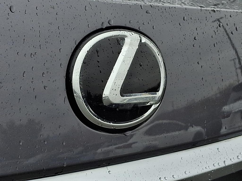 2021 Lexus RX 350 29
