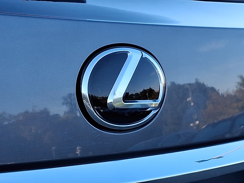 Thumbnail: 2021 Lexus RX - 29