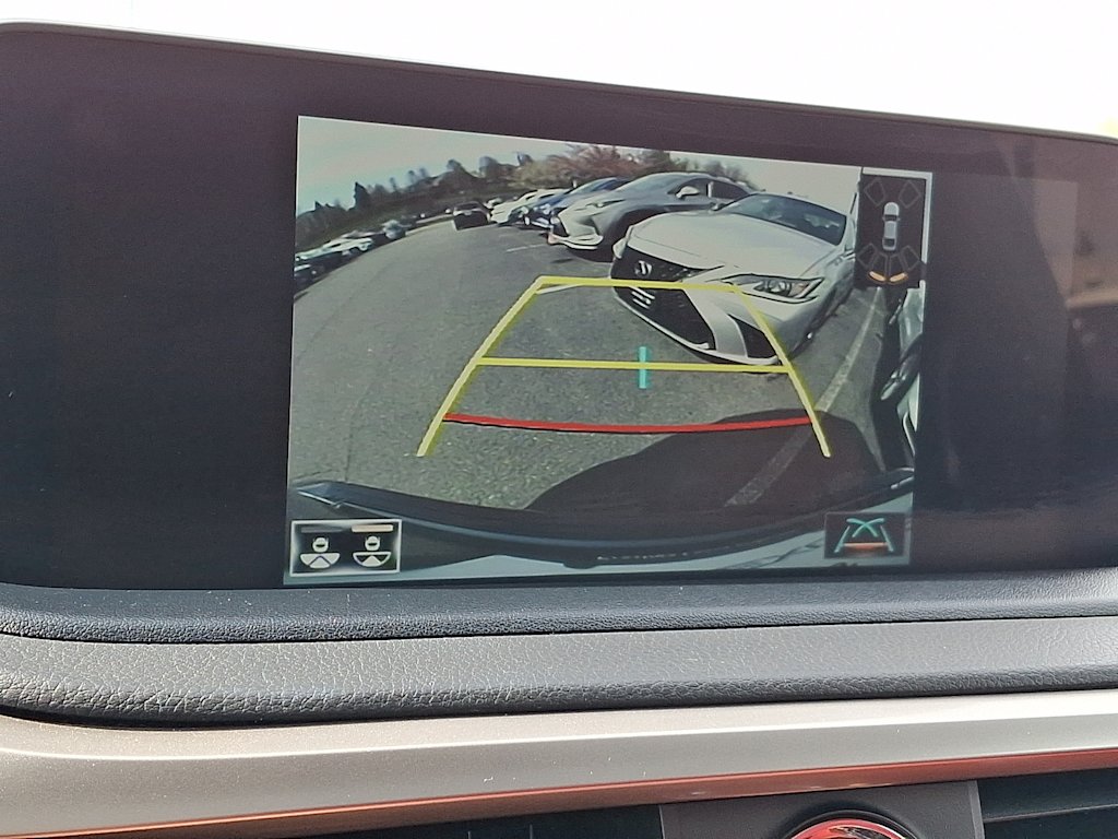 Thumbnail: 2022 Lexus RX - 19