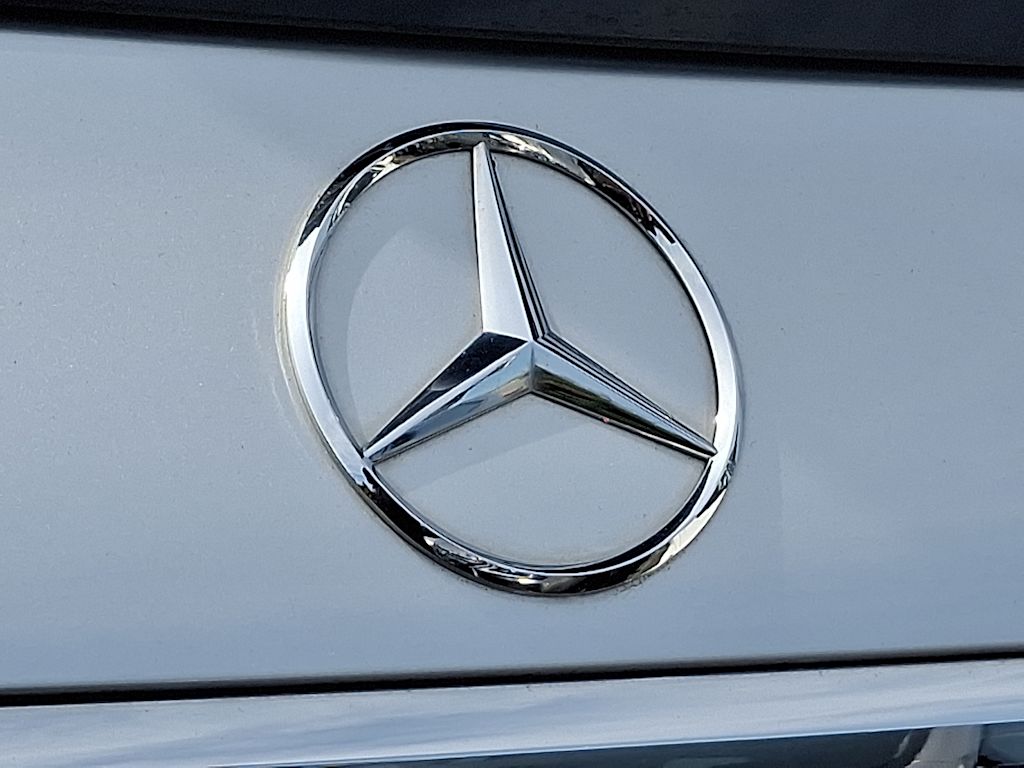 2020 Mercedes-Benz GLS 450 29