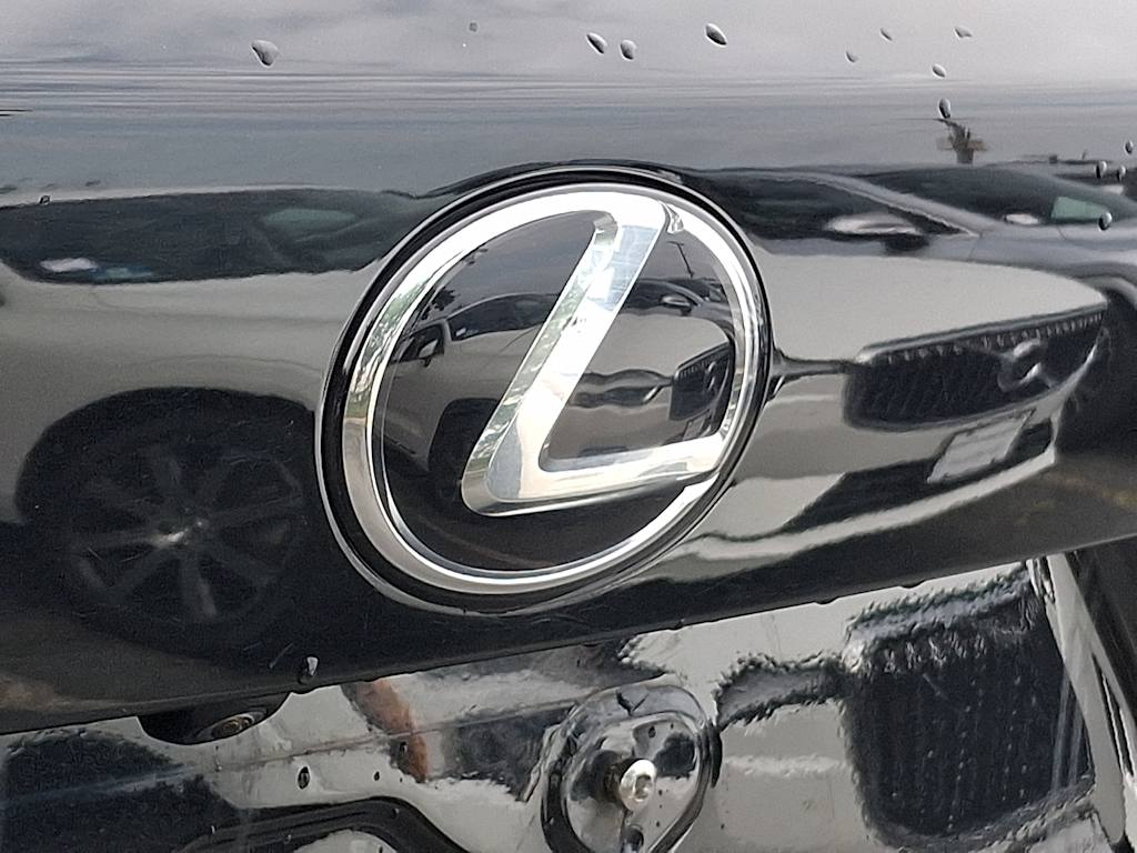 Thumbnail: 2019 Lexus NX - 30