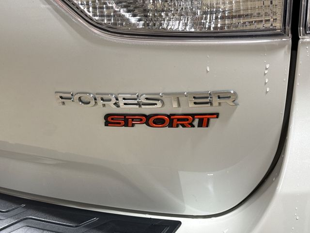 Thumbnail: 2019 Subaru Forester - 29