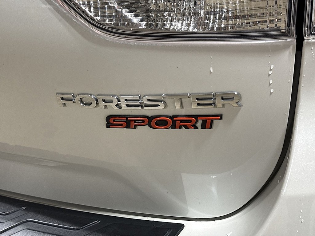 Thumbnail: 2019 Subaru Forester - 29
