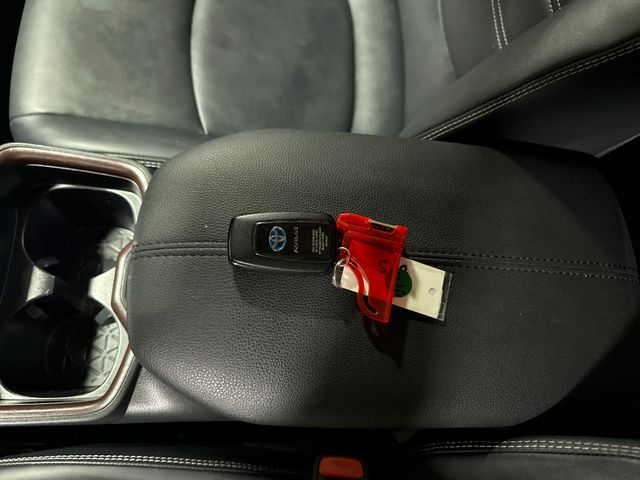 Thumbnail: 2019 Toyota RAV4 - 16