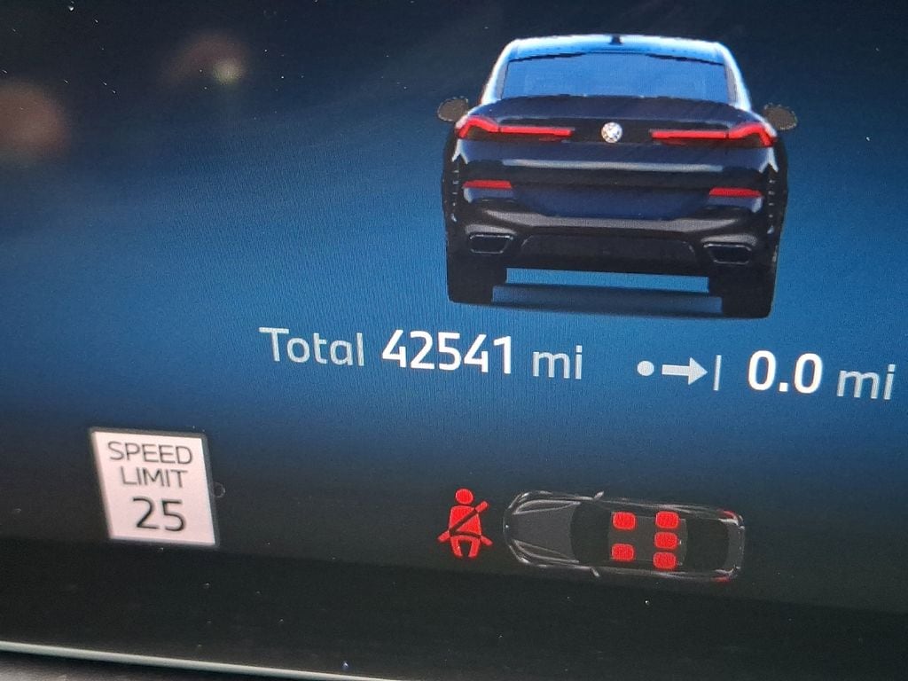Thumbnail: 2024 BMW X6 - 10