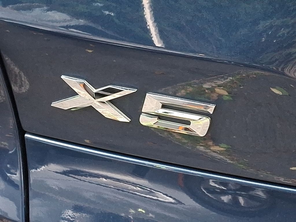 Thumbnail: 2019 BMW X5 - 29