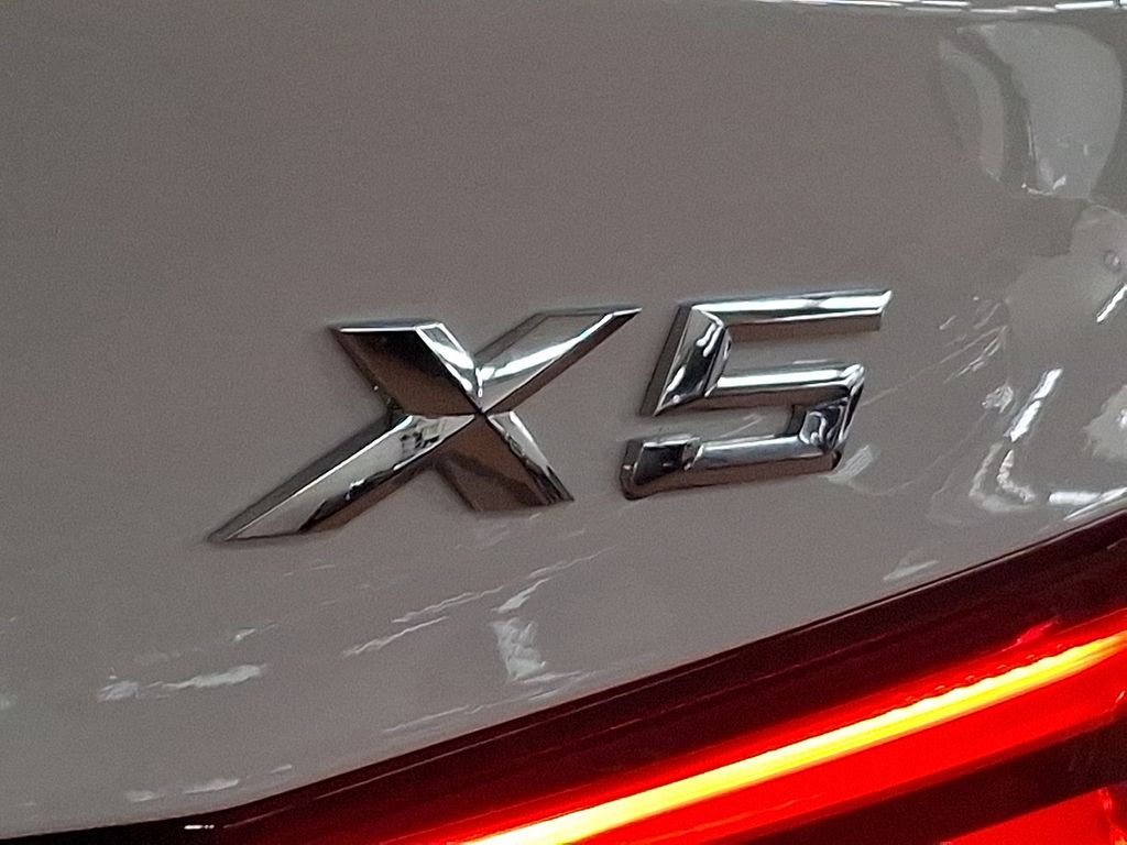 Thumbnail: 2018 BMW X5 - 5