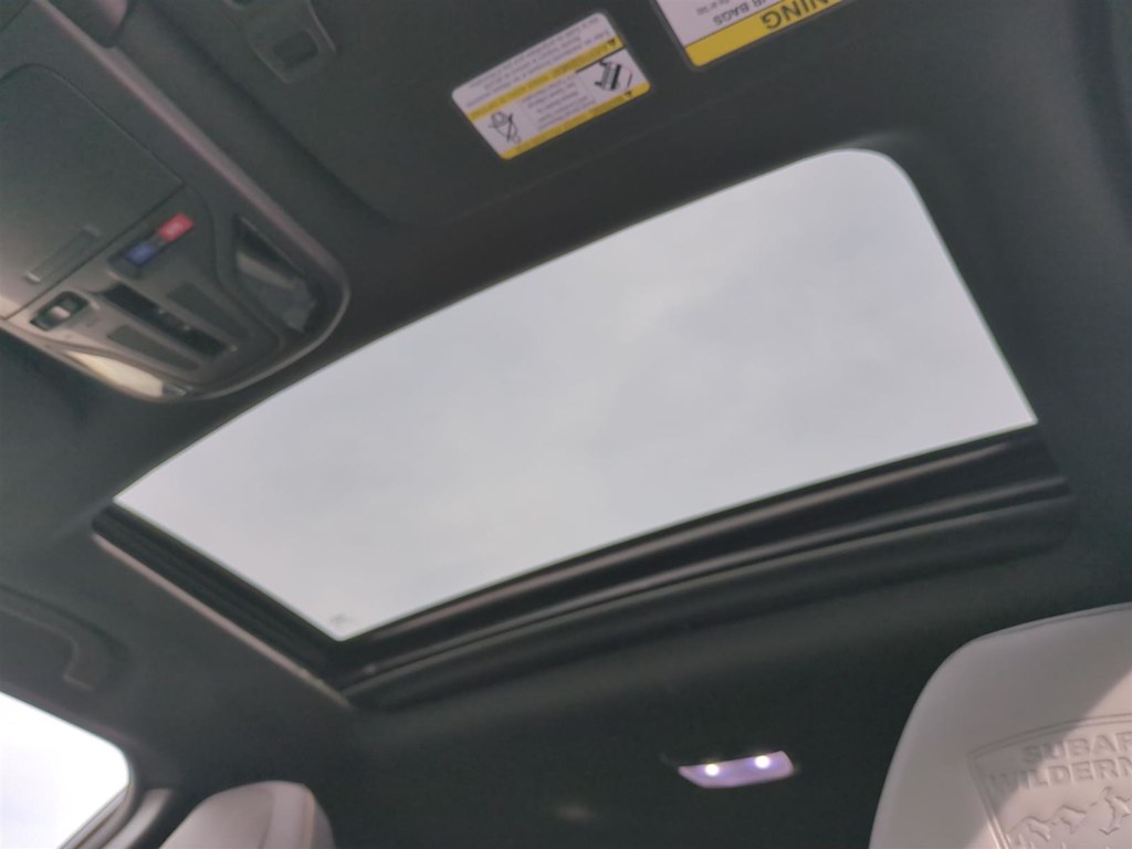 2025 Subaru Outback Wilderness 23
