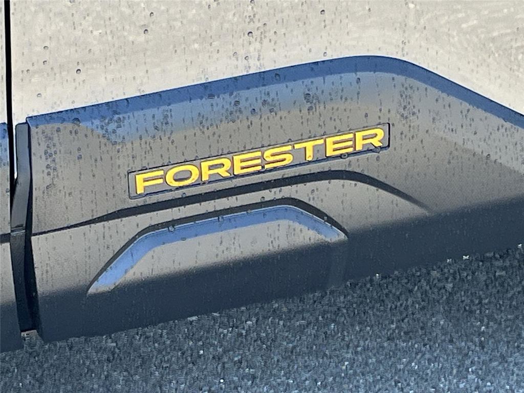 Thumbnail: 2026 Subaru Forester - 7