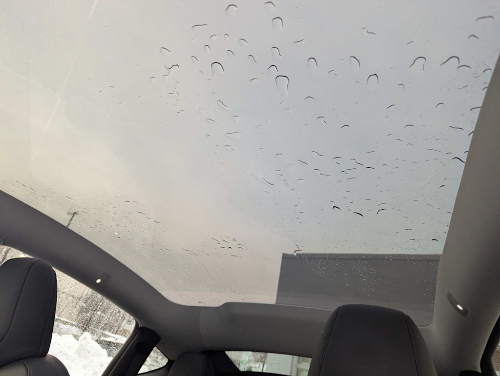 Thumbnail: 2026 Tesla Model Y - 12