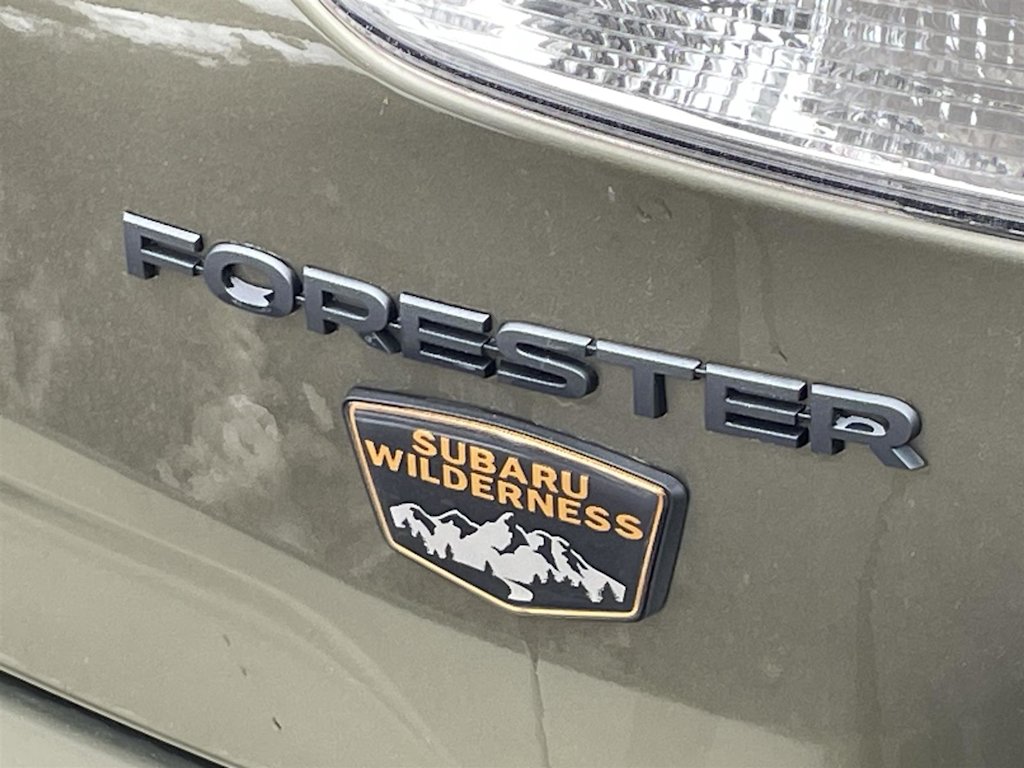 Thumbnail: 2024 Subaru Forester - 6