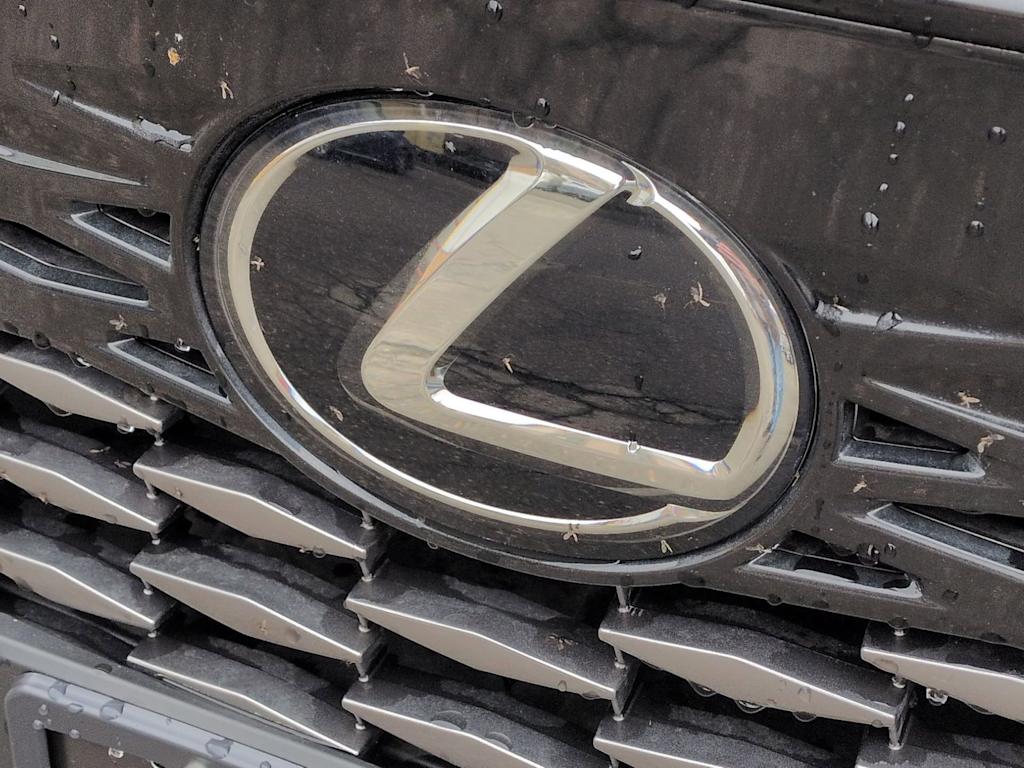 2024 Lexus RX 350 - Photo 7