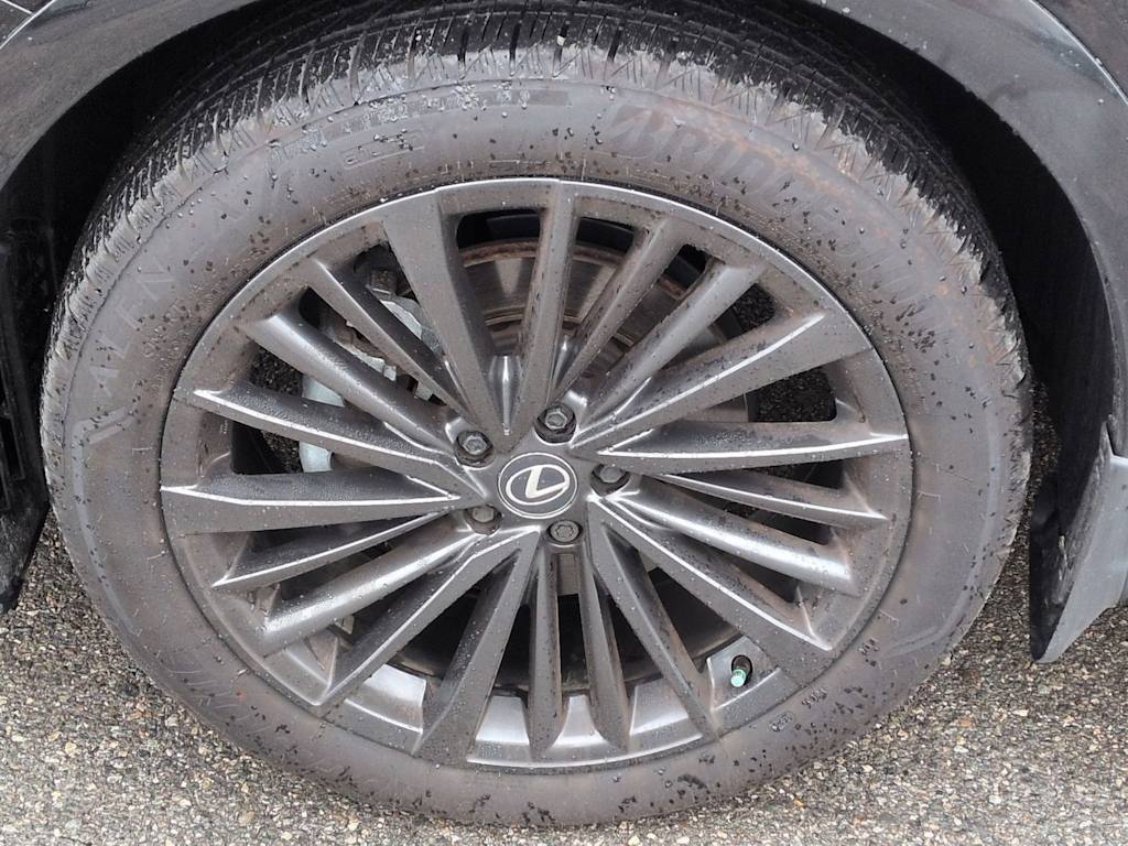 2024 Lexus RX 350 - Photo 8