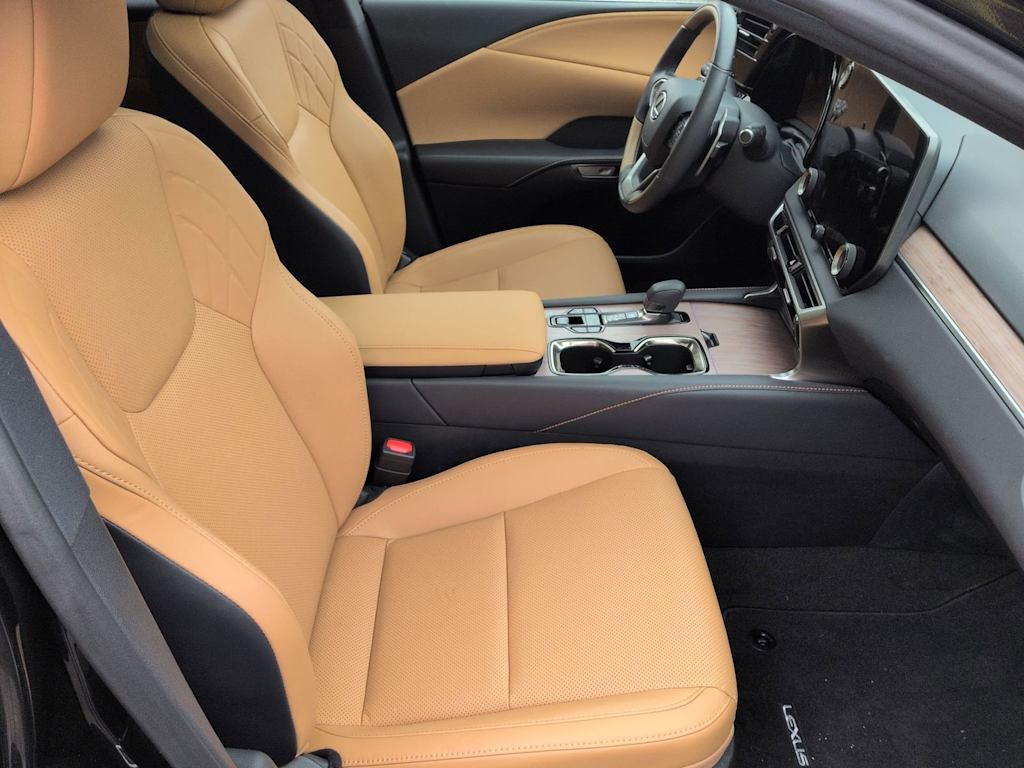 2024 Lexus RX 350 - Photo 31