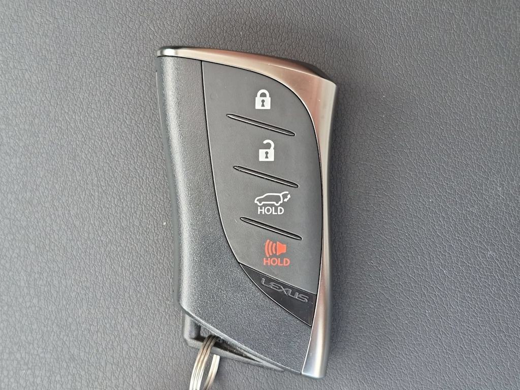 Thumbnail: 2024 Lexus RX - 19