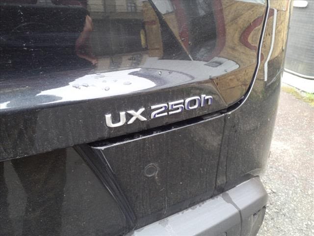 2021 Lexus UX 250h 7
