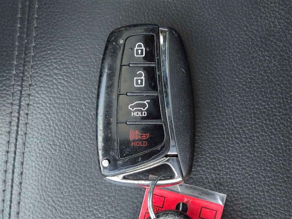 Thumbnail: 2019 Hyundai Santa Fe - 18