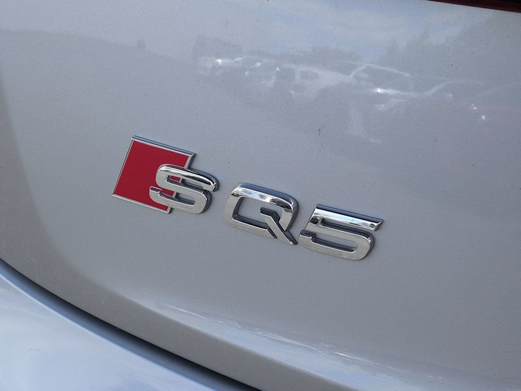 Thumbnail: 2019 Audi SQ5 - 26