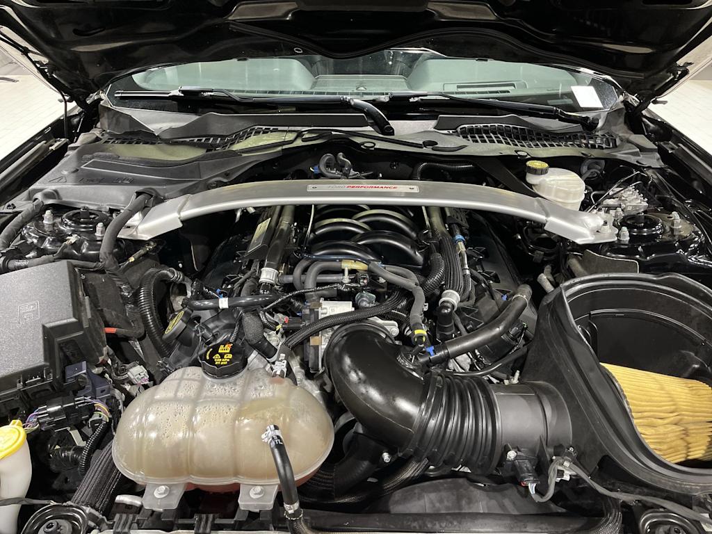 Thumbnail: 2019 Ford Mustang - 9