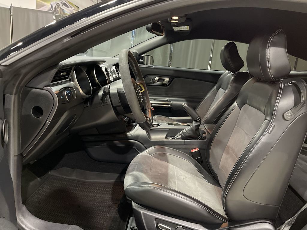 Thumbnail: 2019 Ford Mustang - 12