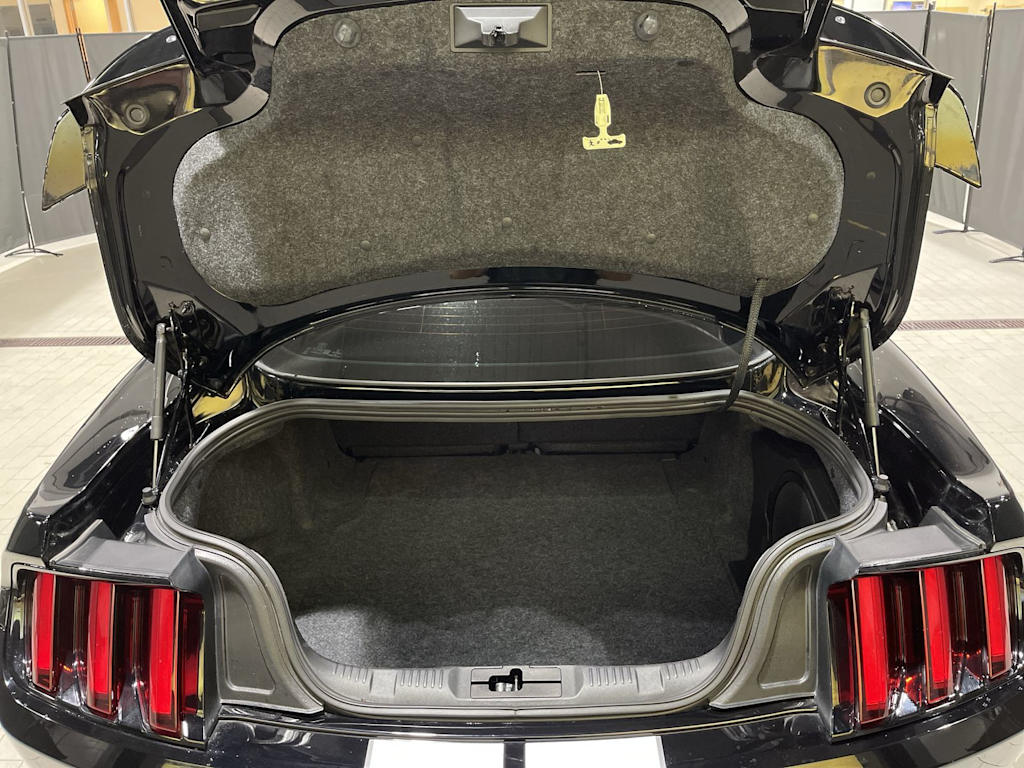 Thumbnail: 2019 Ford Mustang - 33