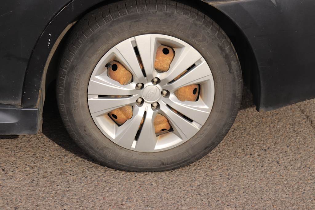 Thumbnail: 2010 Subaru Legacy - 7